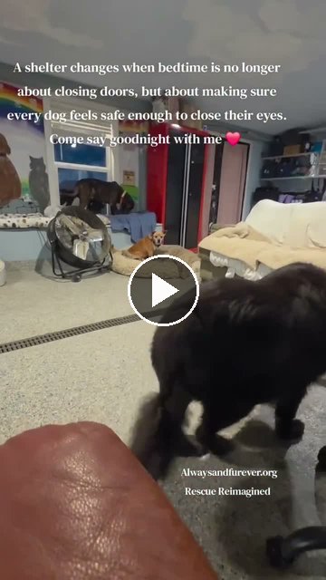 video — Oct 7 2026