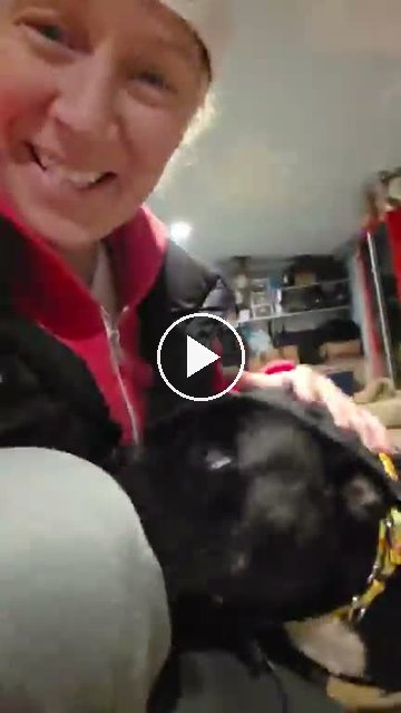 video — Oct 3 2026