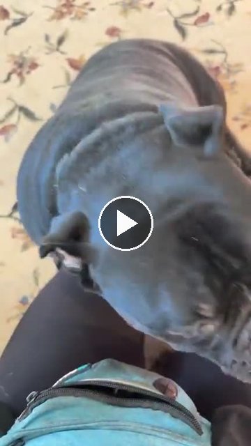video — Aug 27 2026