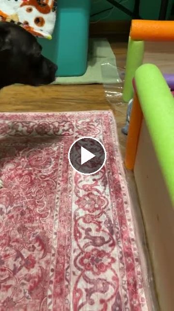 video — Sep 28 2026