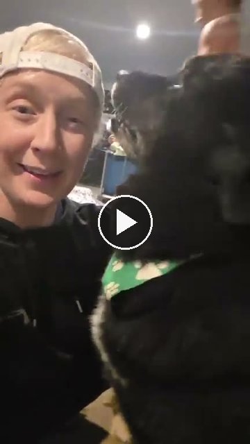 video — Sep 12 2026