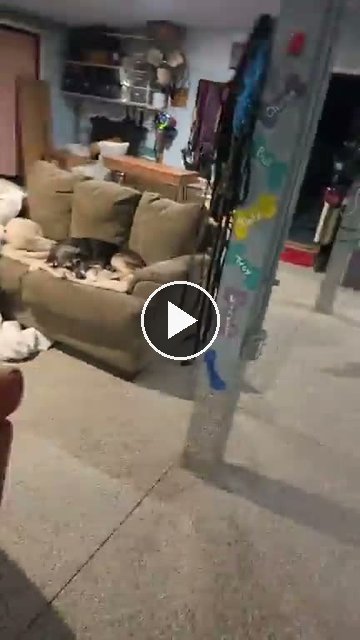 video — Sep 30 2026