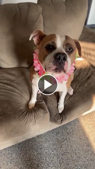 video — Aug 8 2026