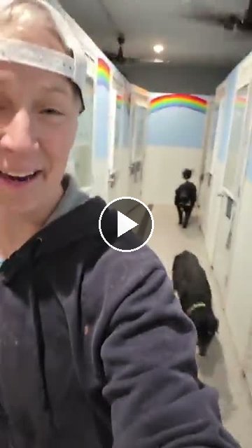video — Sep 14 2026