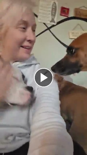 video — Aug 26 2026