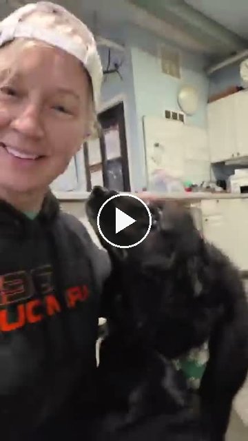 video — Sep 10 2026