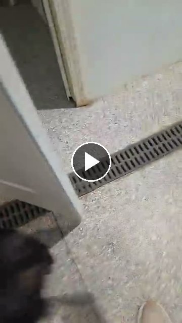 video — Sep 21 2026