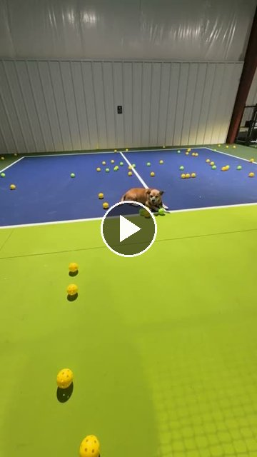 video — Sep 15 2026