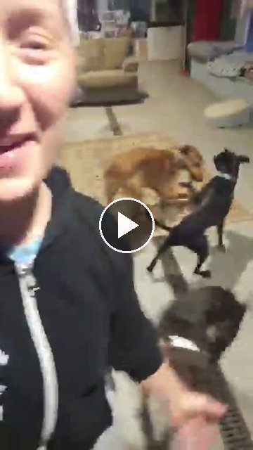 video — Aug 17 2026