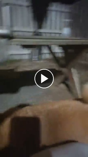 video — Sep 22 2026