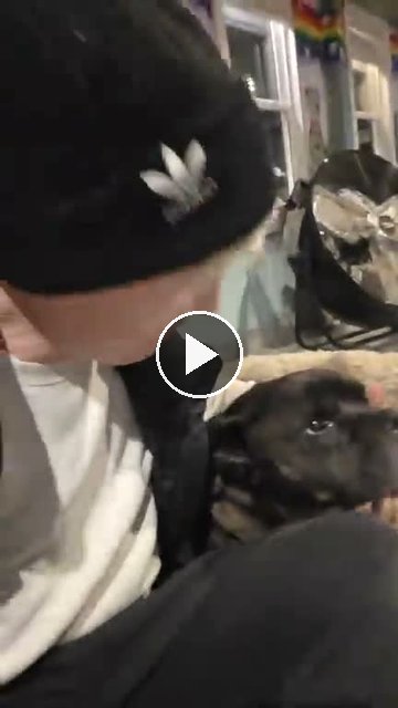 video — Oct 4 2026