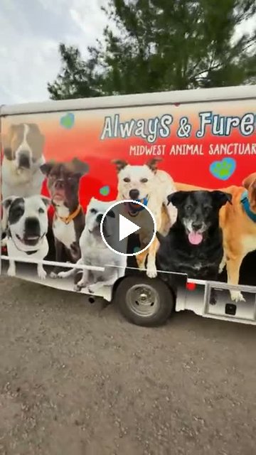 video — Aug 14 2026