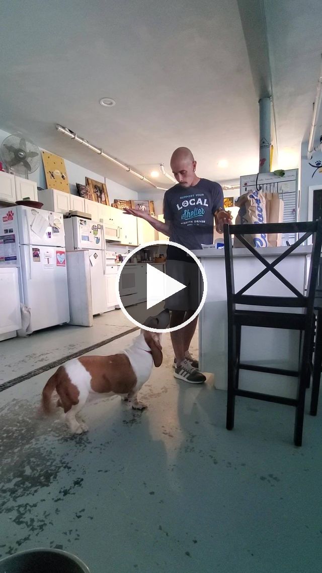 video — Aug 16 2020