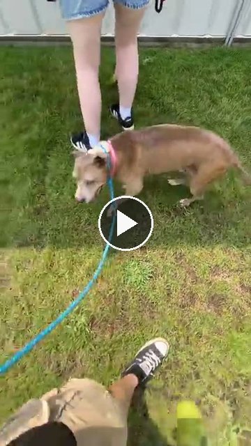 video — Aug 4 2026