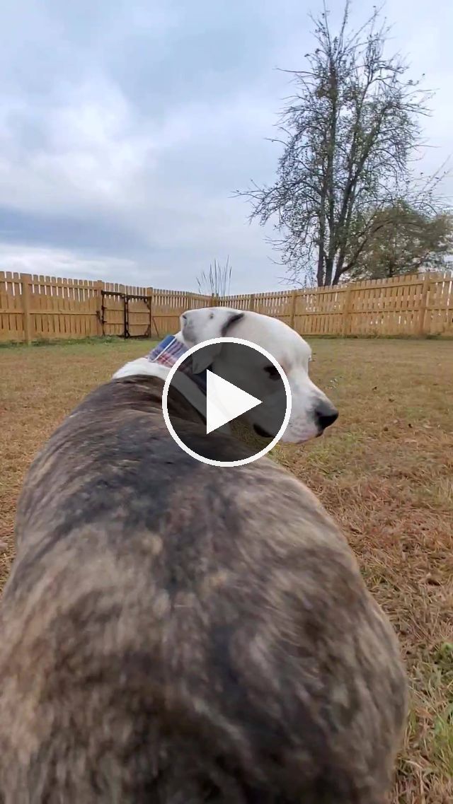 video — Oct 24 2020