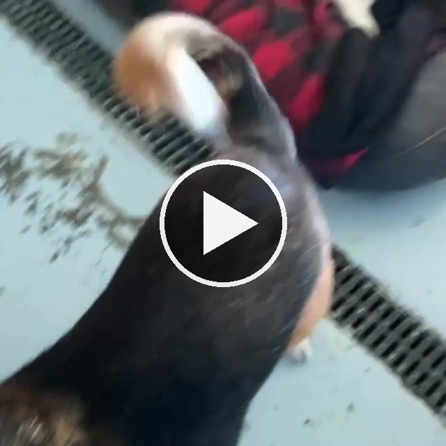 Nov 1 video — Nov 1–2 2020