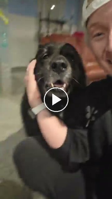 video — Sep 12 2026