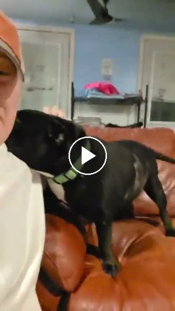 video — Sep 25 2026