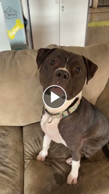 video — Aug 3 2026