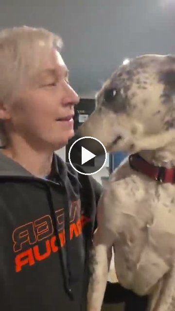 video — Aug 29 2026