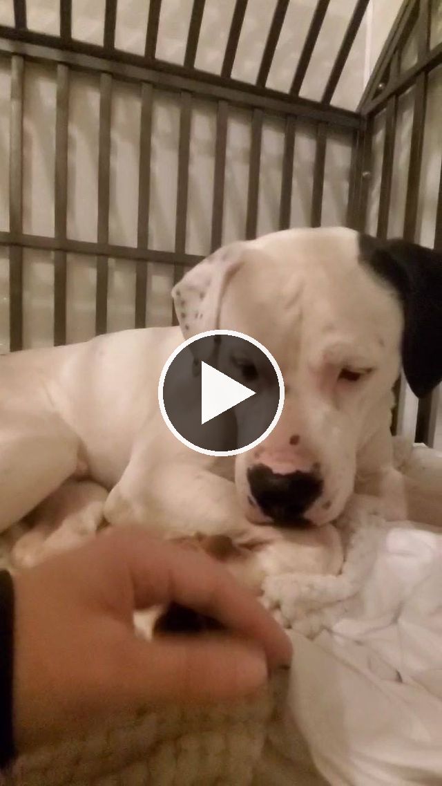 video — Jan 6 2021
