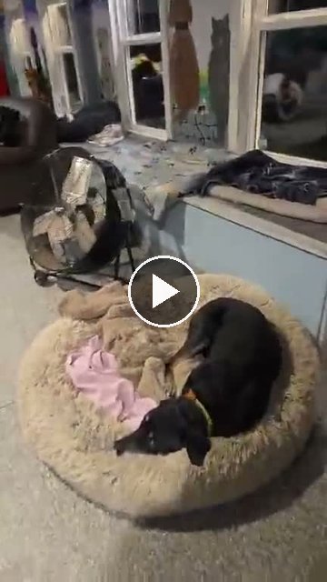 video — Sep 23 2026