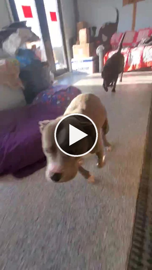 video — Mar 26 2021