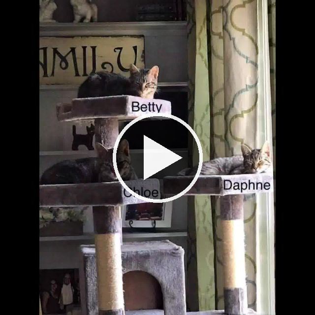 video — Apr 2 2021