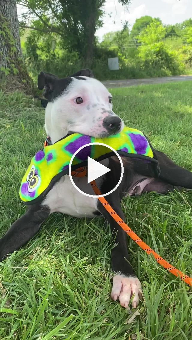 video — Jun 10 2021