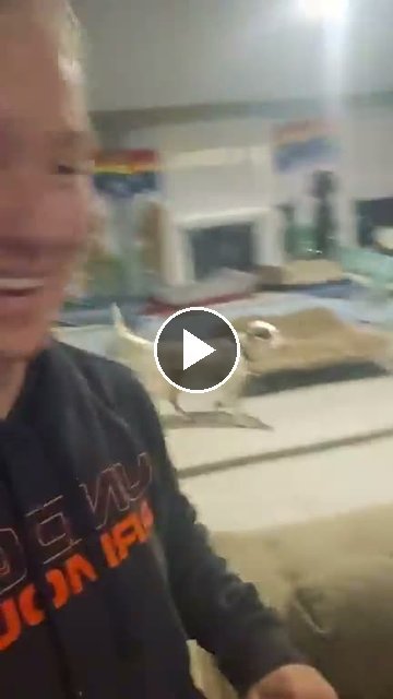 video — Aug 6 2026
