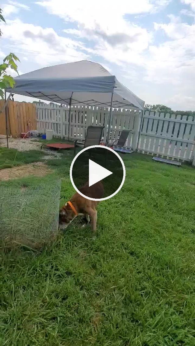 video — Jul 24–28 2021