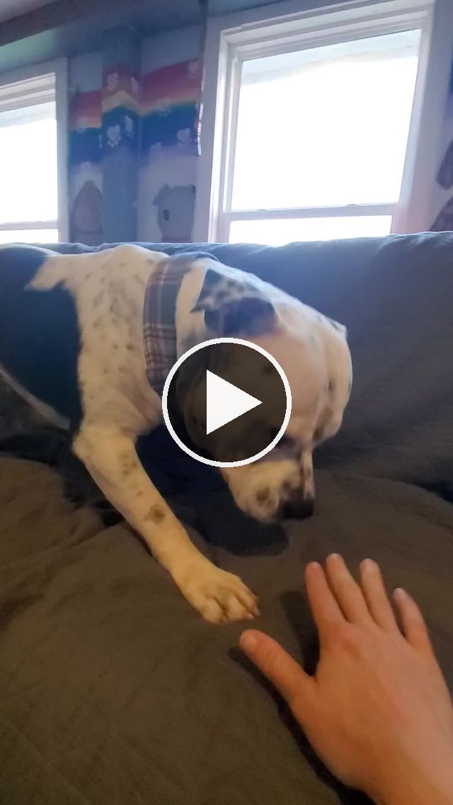 video — Aug 12 2021