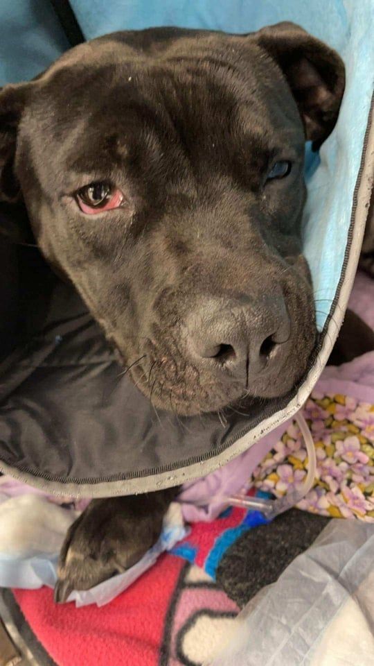 post — Sep 24–25 2021
