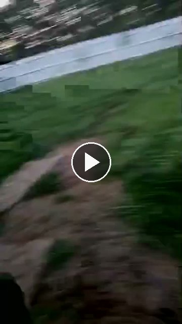 video — Jul 27 2026