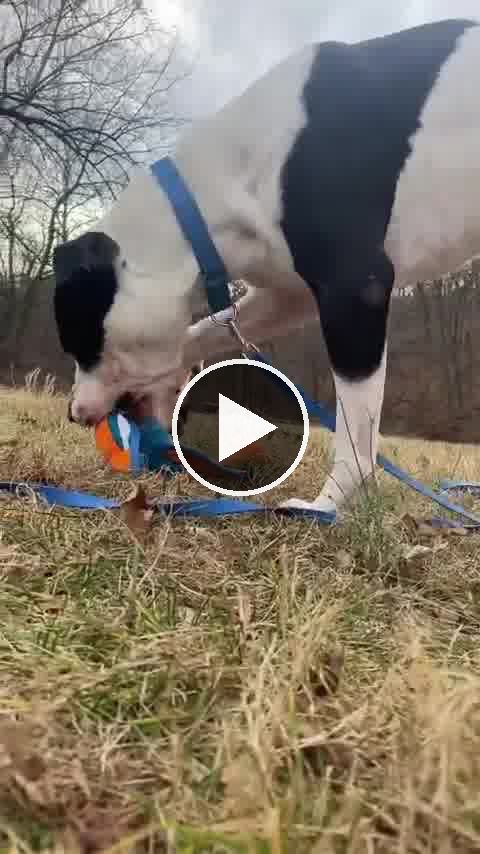 video — Dec 31 2021