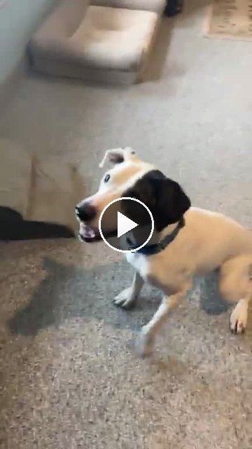 video — Sep 30 2026