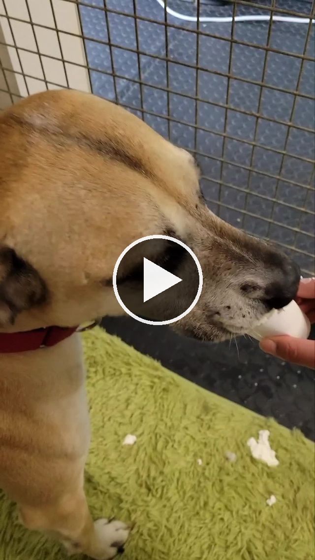 video — Mar 8 2022