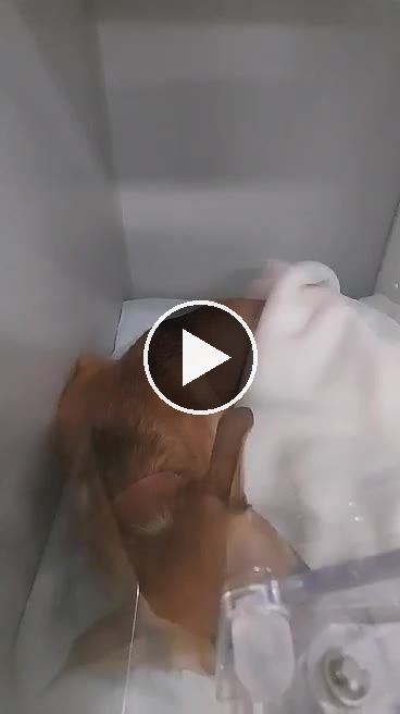 video — Mar 15 2022