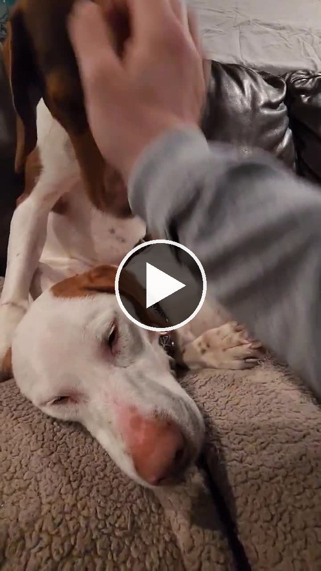video — Apr 23 2022
