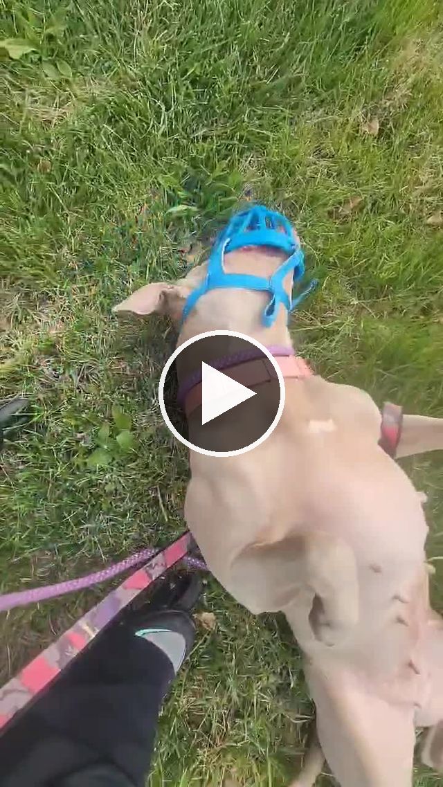 video — Apr 26–30 2022