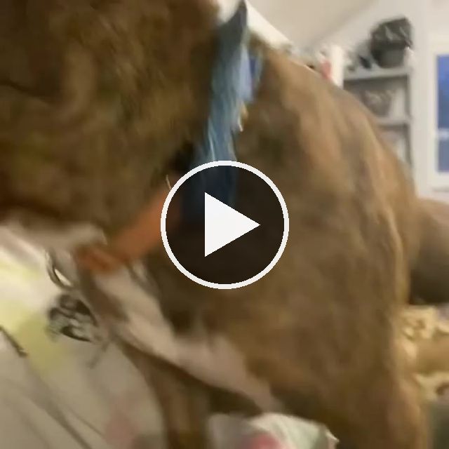 video — Apr 26–30 2022