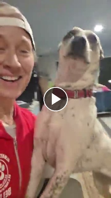 video — Sep 1 2026