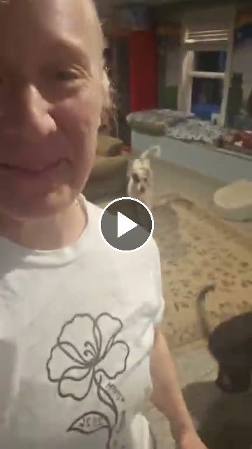 video — Aug 15 2026