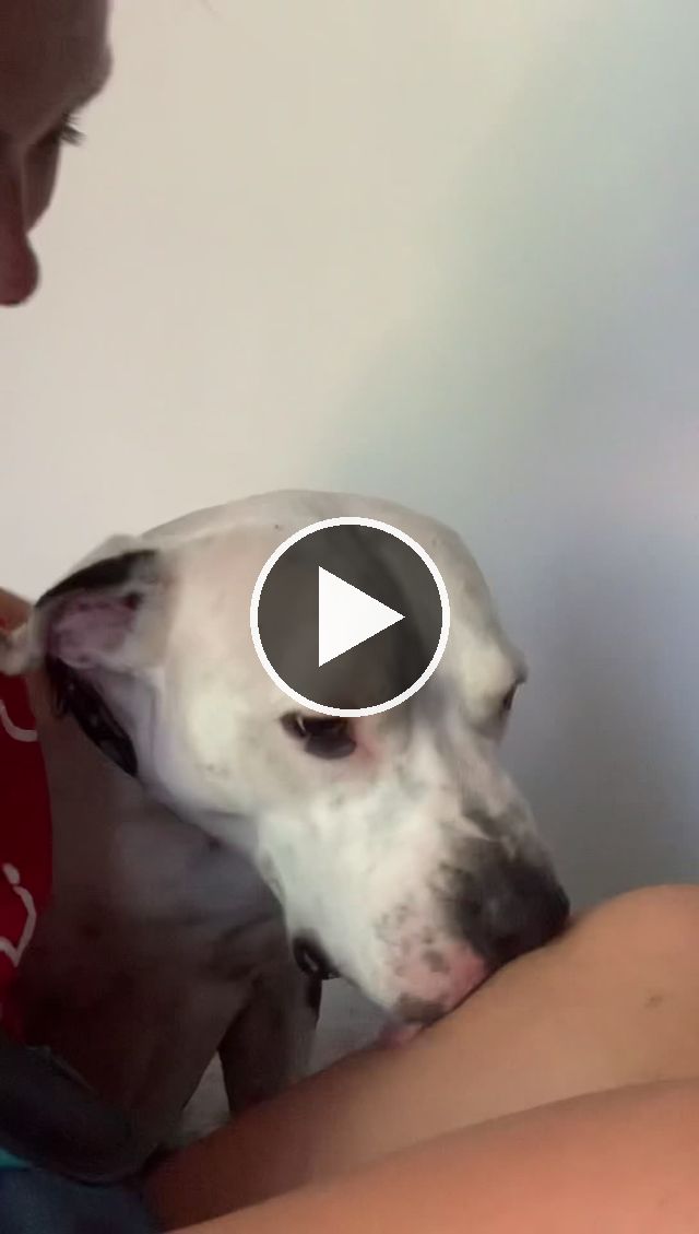 video — Jul 11 2022