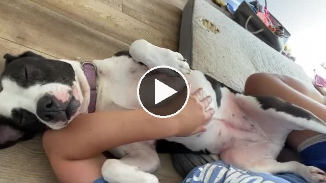 video — Aug 5 2022