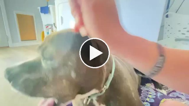 video — Aug 12 2022