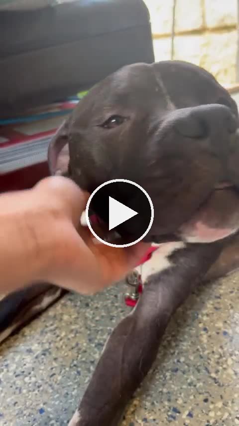 video — Aug 21 2022