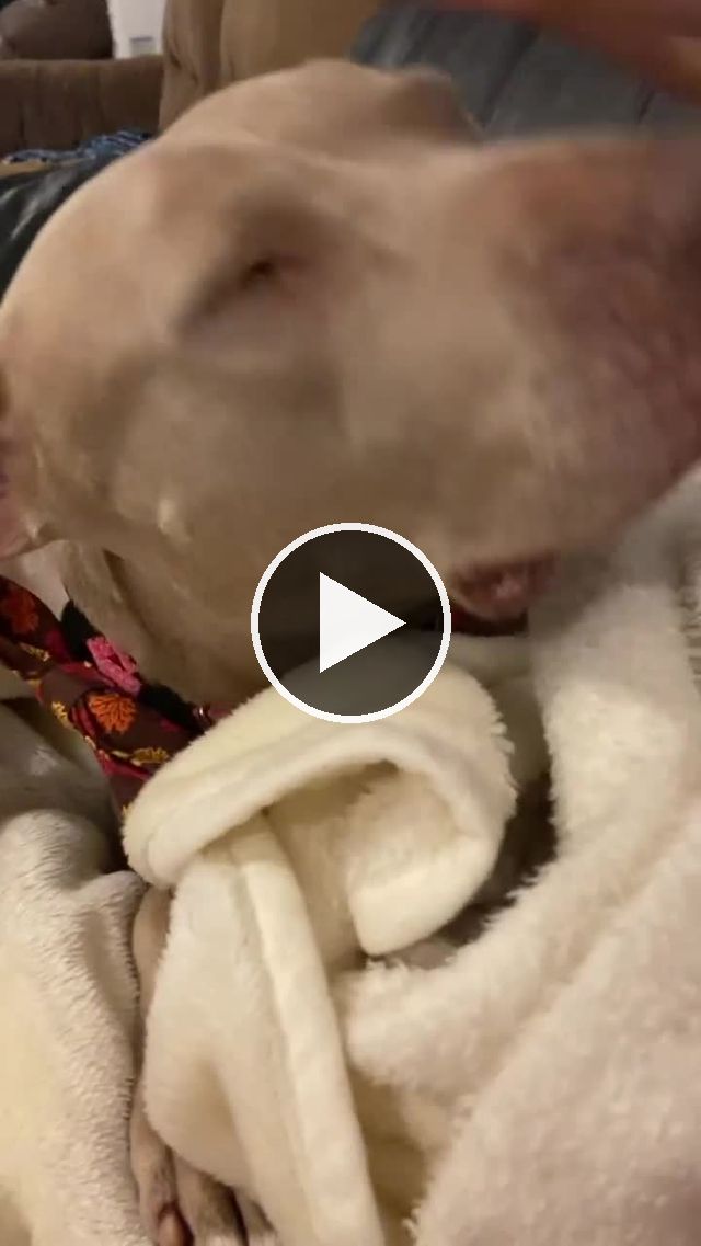 video — Sep 23 2022