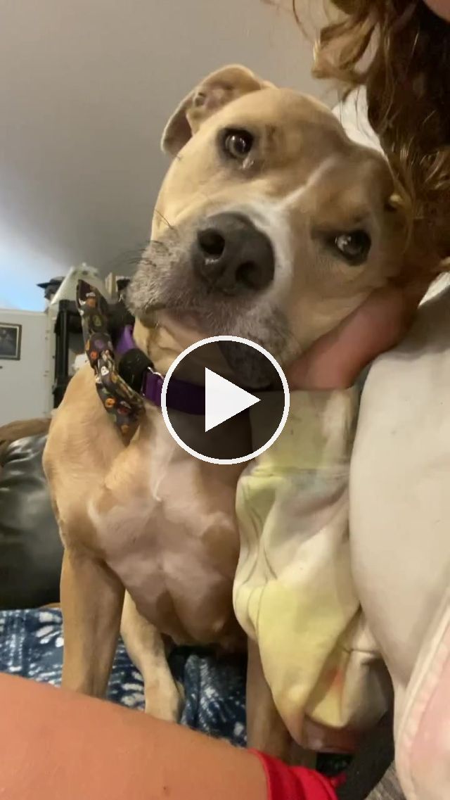 video — Oct 30 2022