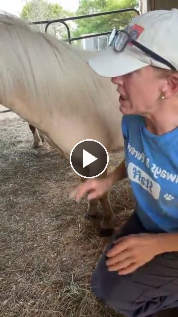 video — Aug 12 2026